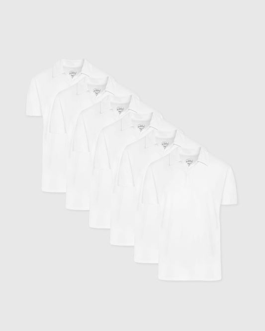 Classic Polo 6-Pack